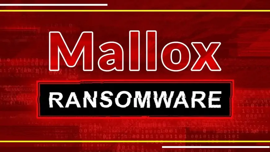 Mallox: Phân Tích Kỹ Thuật Và Biện Pháp Giảm Thiểu Tấn Công Ransomware Mallox