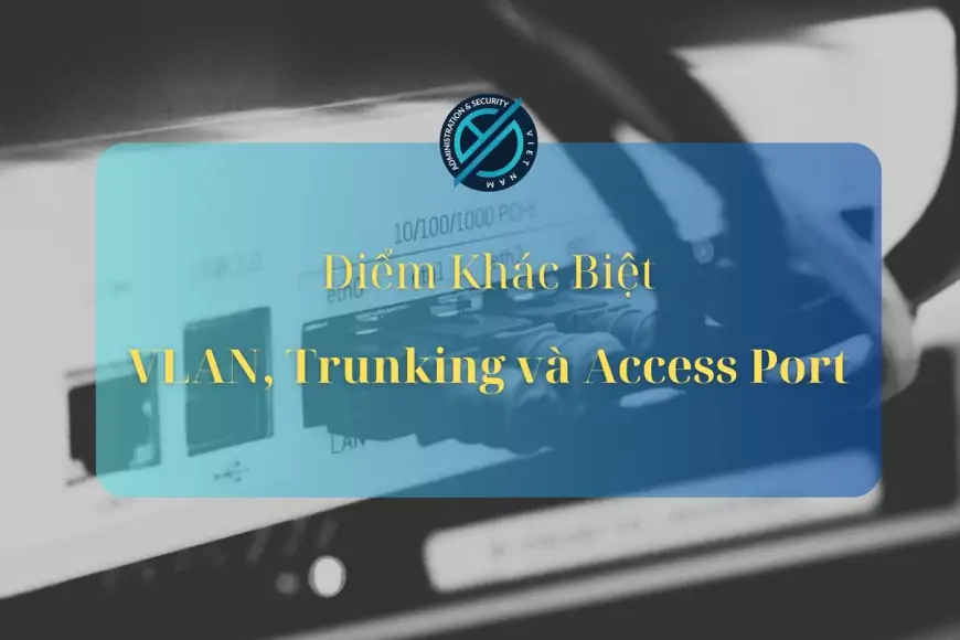 Sự khác biệt chính giữa VLAN, Trunking và Access Port trong môi trường mạng